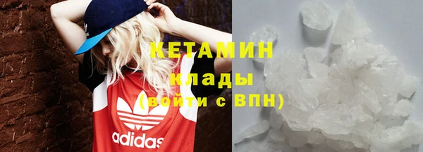 индика Губаха