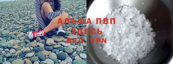 спайс Грязовец