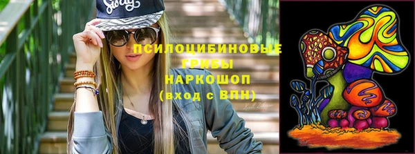 гидропоника Покачи