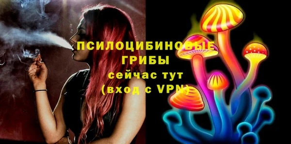 индика Губаха