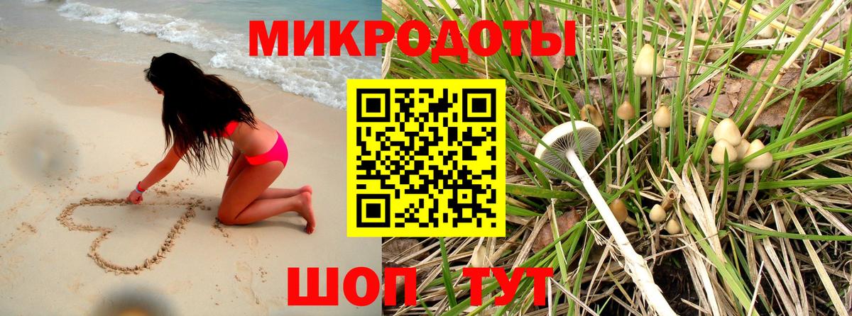 Псилоцибиновые грибы мицелий Азов