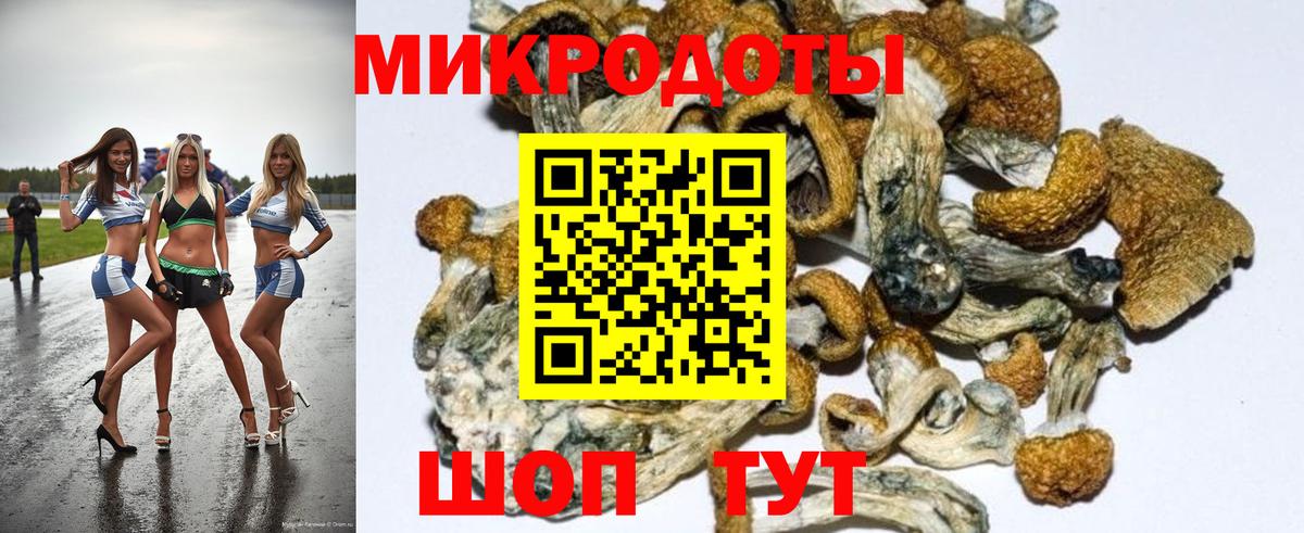 Псилоцибиновые грибы прущие грибы  наркошоп  Азов 