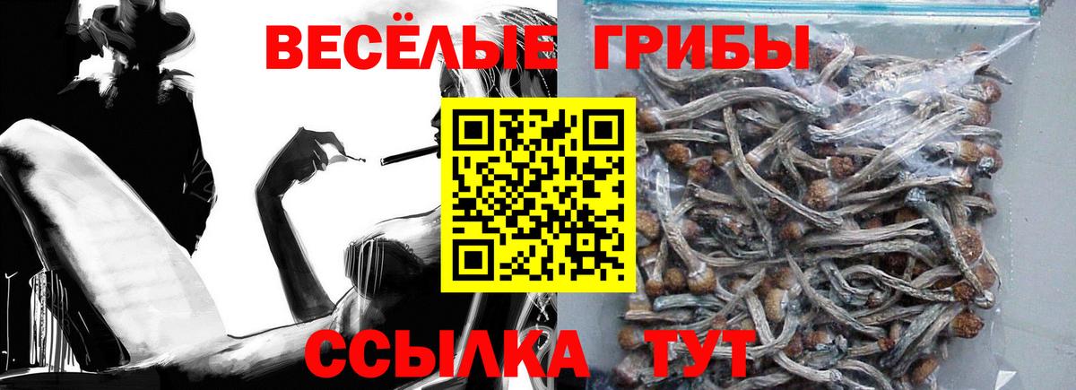 Галлюциногенные грибы прущие грибы Азов